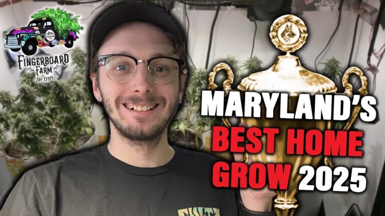 1768935372 maxresdefault.jpg