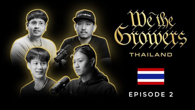 1768935975 maxresdefault.jpg