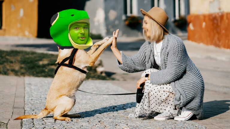 1770590076 maxresdefault.jpg