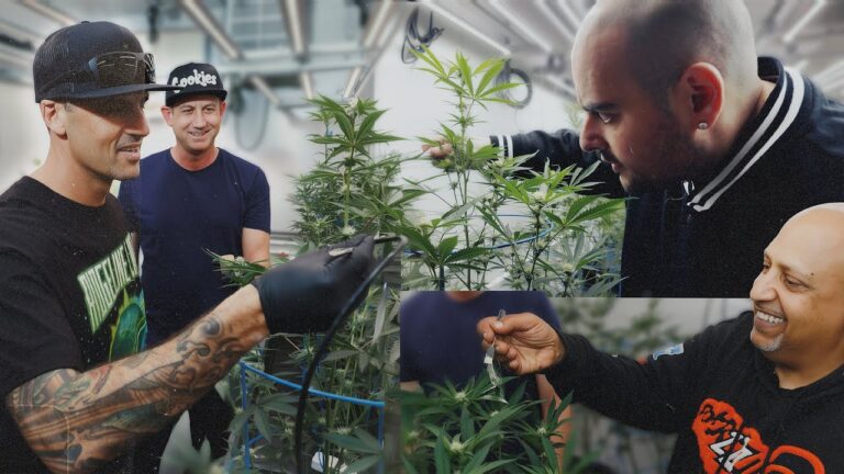 1770665929 maxresdefault.jpg