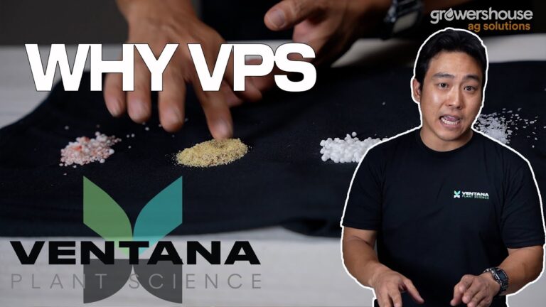 1771025136 maxresdefault.jpg