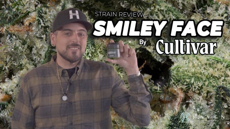 1771031990 maxresdefault.jpg