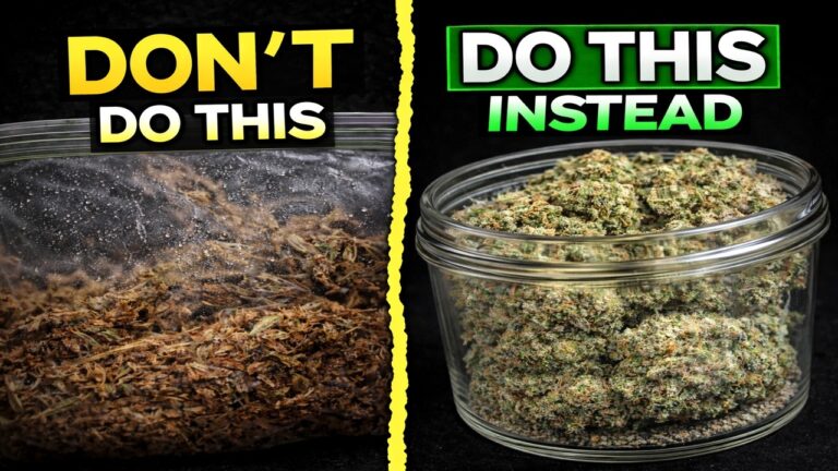 1771362324 maxresdefault.jpg