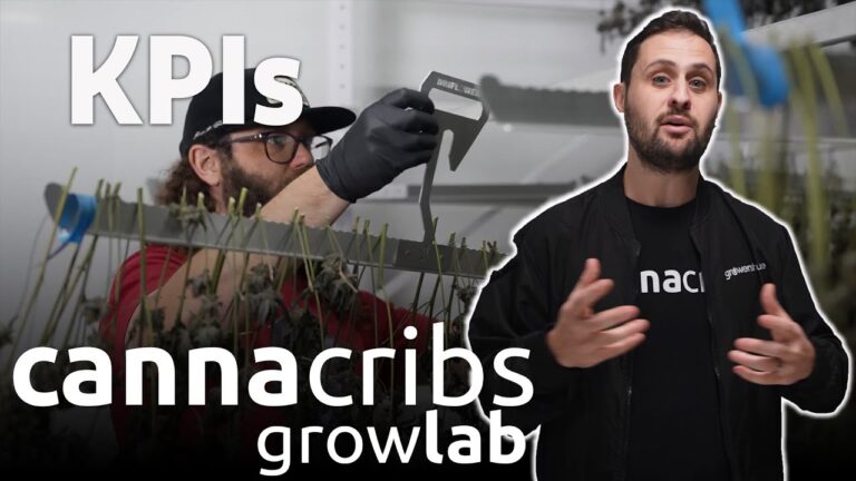 1771544337 maxresdefault.jpg