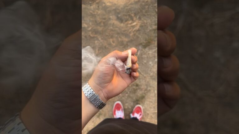 1771551311 maxresdefault.jpg