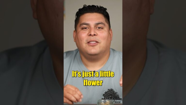 1772332567 maxresdefault.jpg