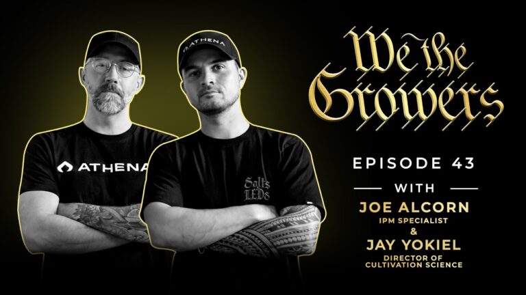 1772575706 maxresdefault.jpg