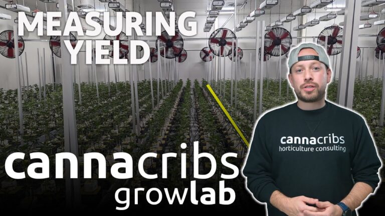 1772582901 maxresdefault.jpg