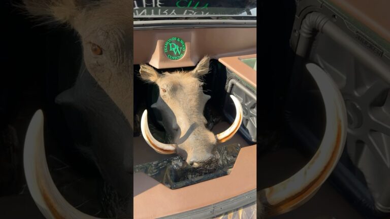 1772592514 maxresdefault.jpg