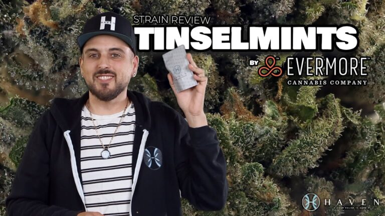 1772593709 maxresdefault.jpg