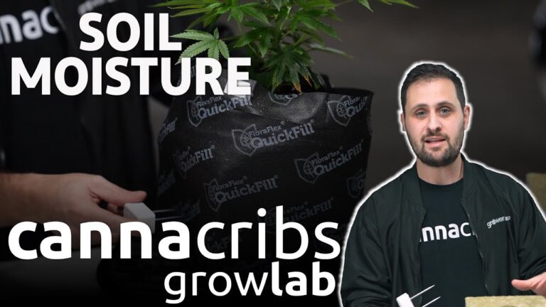 1773102931 maxresdefault.jpg