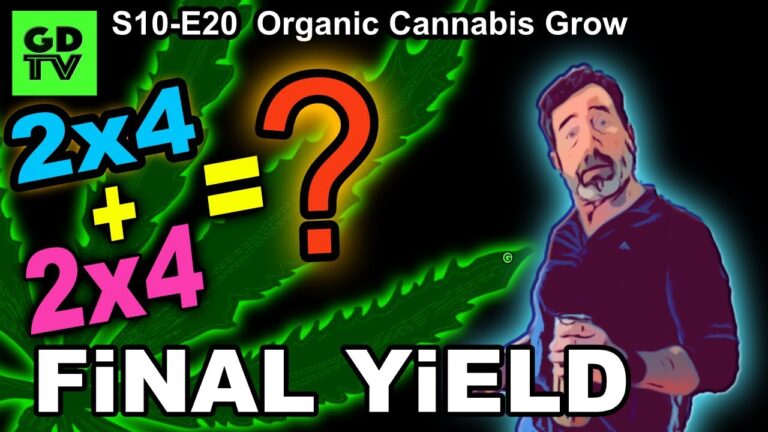 1773177813 maxresdefault.jpg