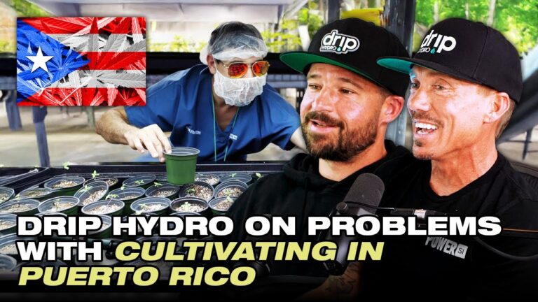 1773186132 maxresdefault.jpg