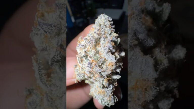 1773371911 maxresdefault.jpg