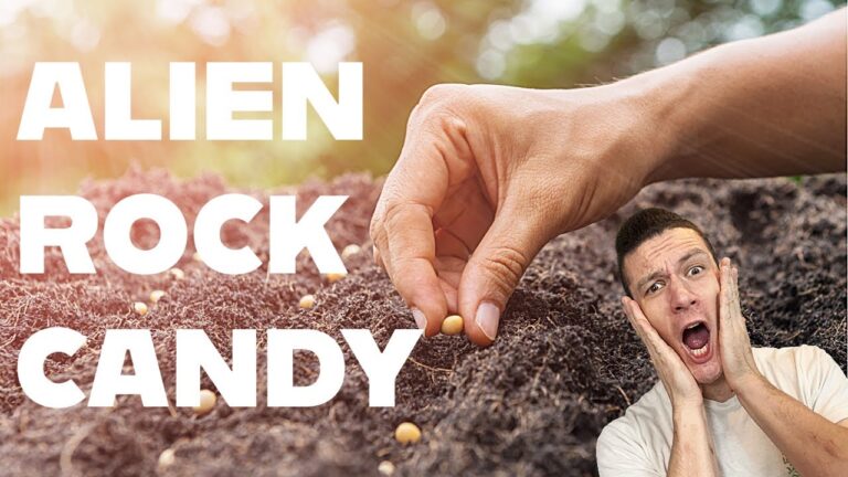 1773643055 maxresdefault.jpg