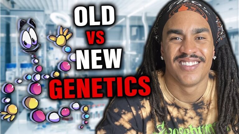 1773782152 maxresdefault.jpg