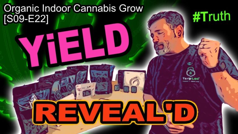 1773783350 maxresdefault.jpg