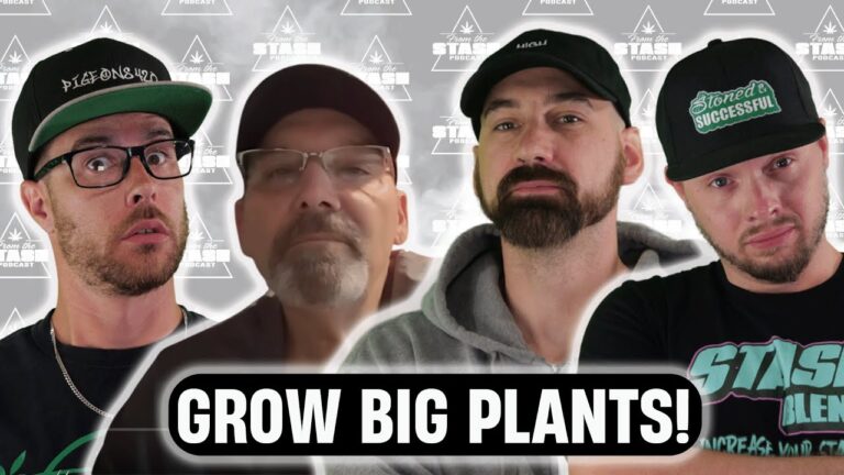 1773789338 maxresdefault.jpg