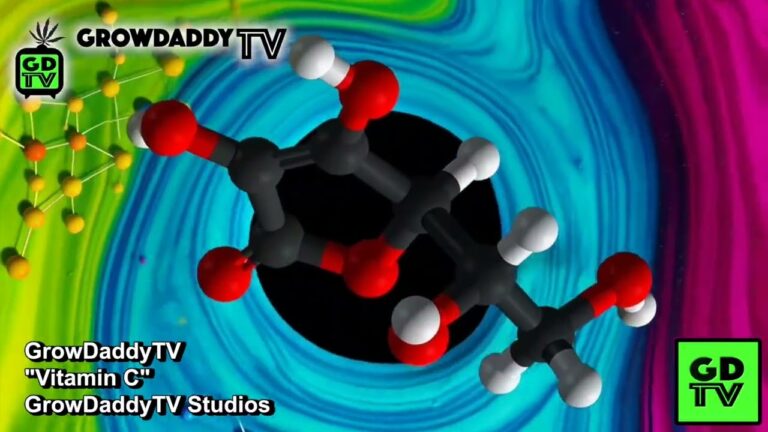 1774388529 maxresdefault.jpg