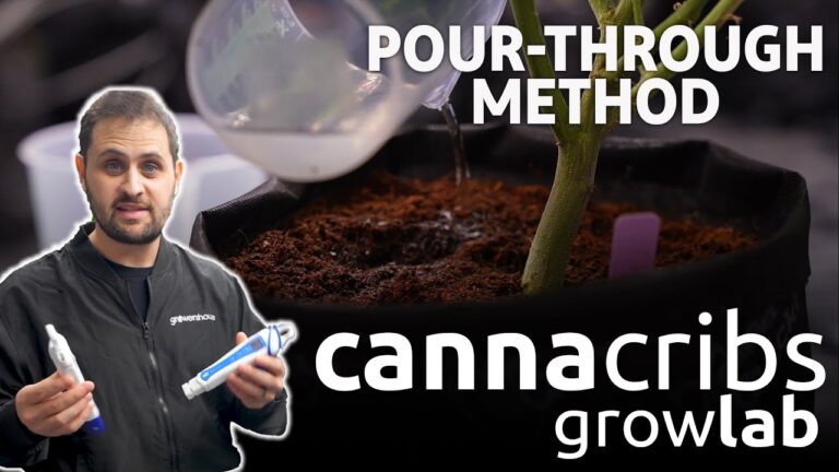 1774660640 maxresdefault.jpg