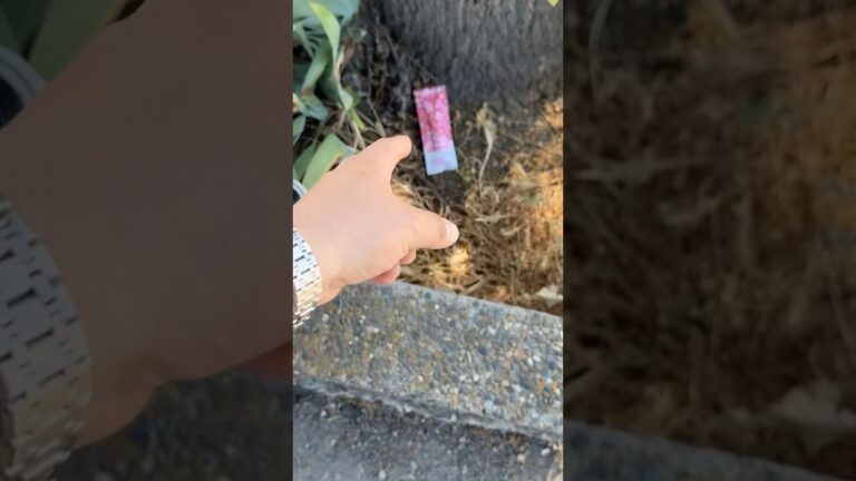 1774673604 maxresdefault.jpg