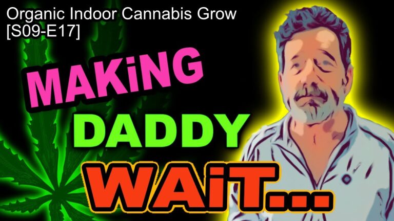 1775599824 maxresdefault.jpg