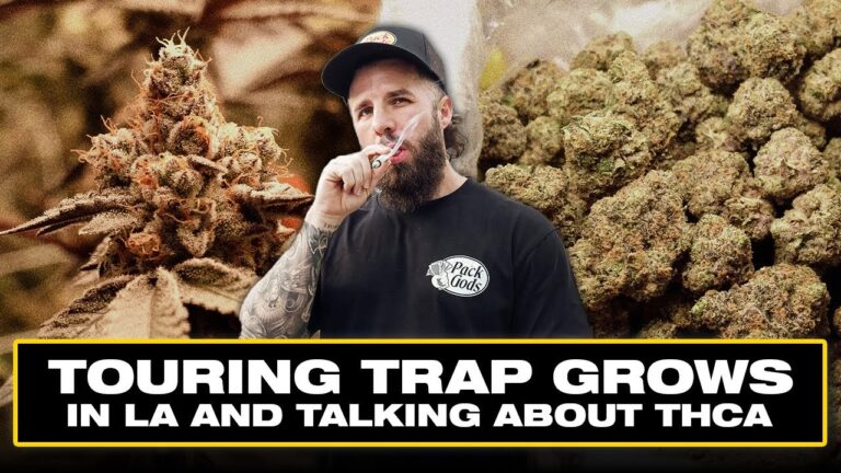 1775608025 maxresdefault.jpg