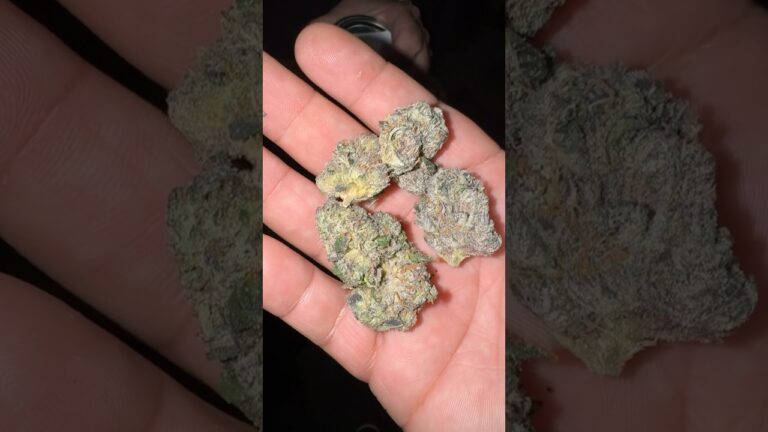 1775713052 maxresdefault.jpg