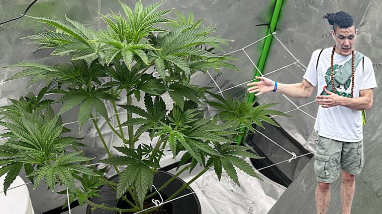 1776063628 maxresdefault.jpg