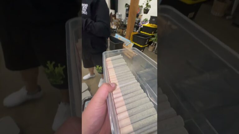 1776492461 maxresdefault.jpg