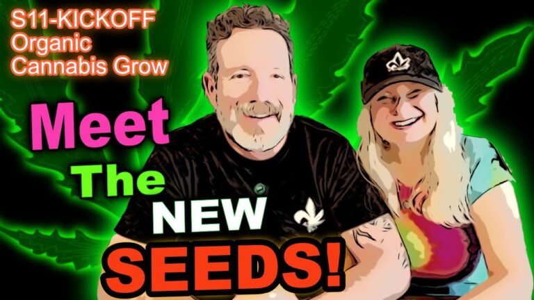 1776811209 maxresdefault.jpg